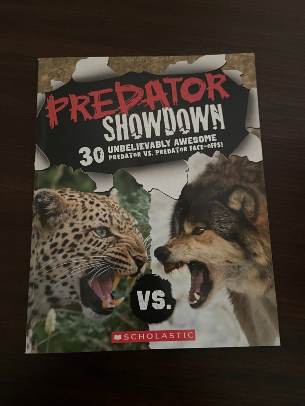Predator Showdown. Unbelievably Awesome Predator Vs. Predator Face-offs!